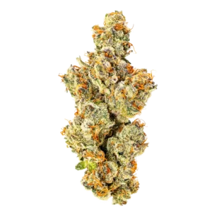 Cherry Paloma Strain