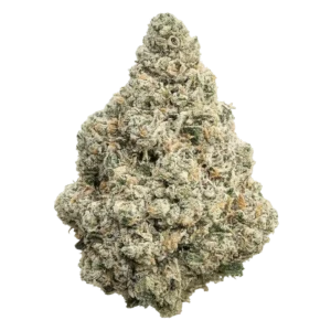 Gazoo Racing THCa Flower