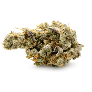 Ms. Universe Strain