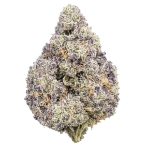 Rainbow Zangria THCa Flower