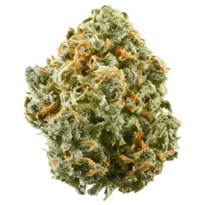 Supernova Pulse Strain