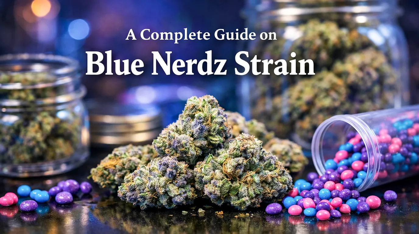 Blue Nerdz Strain
