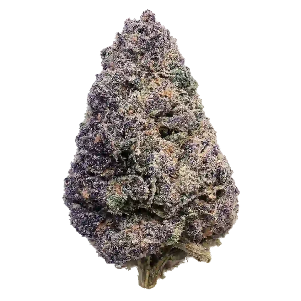 Forbidden Boof Weed Strain