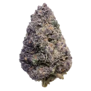 Forbidden Boof THCa Flower