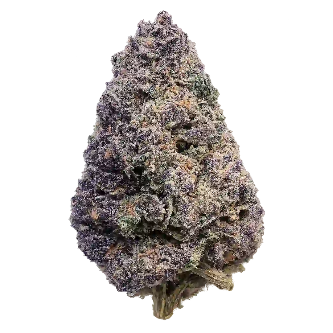 Forbidden Boof Weed Strain