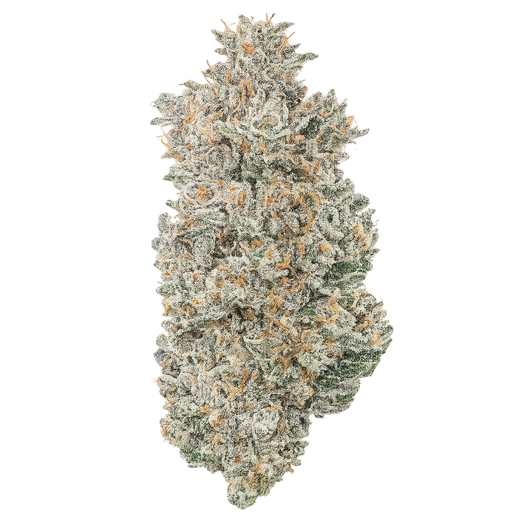 Candy Fumes strain with frosty purple-green buds, sweet candy aroma, loud fuel terps, and dense trichome coverage.