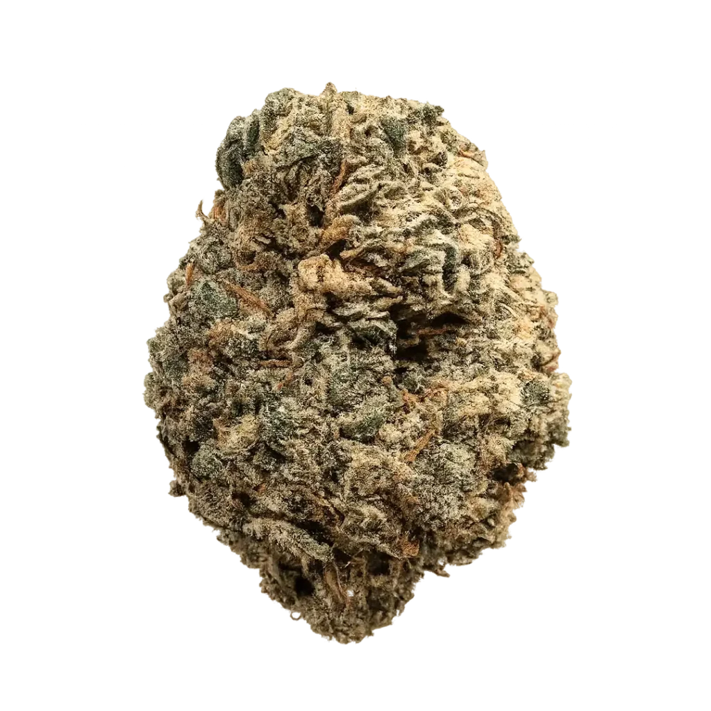 Trap Snacks strain with frosty purple-green buds, sweet candy aroma, creamy dessert terps, and dense trichome coverage.