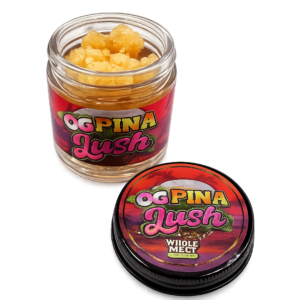 Wholemelts Wax Case