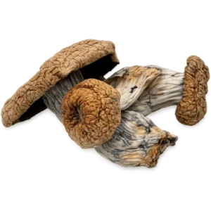 Hillbilly Shrooms Gummies