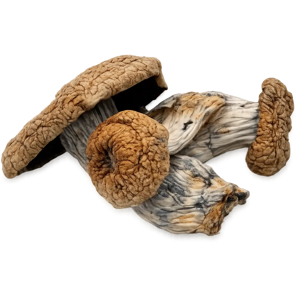 Hillbilly Shrooms Edible
