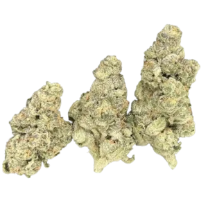 Cheetah Piss x Zushi THCa Flower