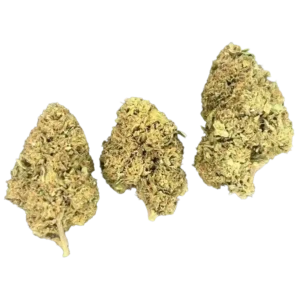 Blue Zlushi THCa Flower