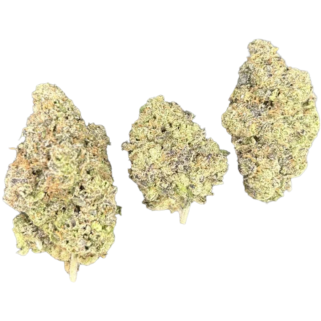 Go Gumbo Go THCa Flower