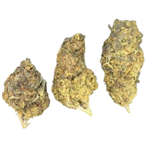 Government Oasis THCa Flower