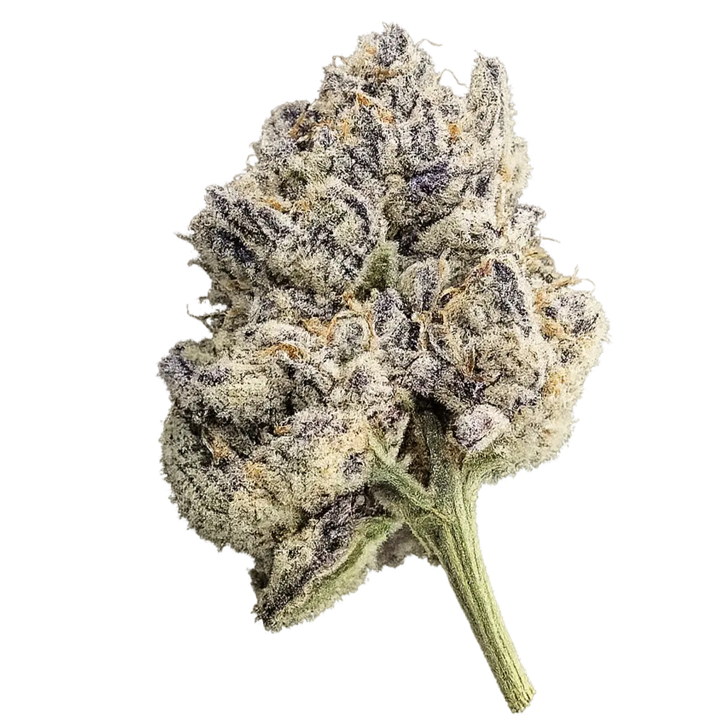 Seeded Deps THCa flower featuring light deprivation-grown buds with visible seeds and moderate trichome coverage.
