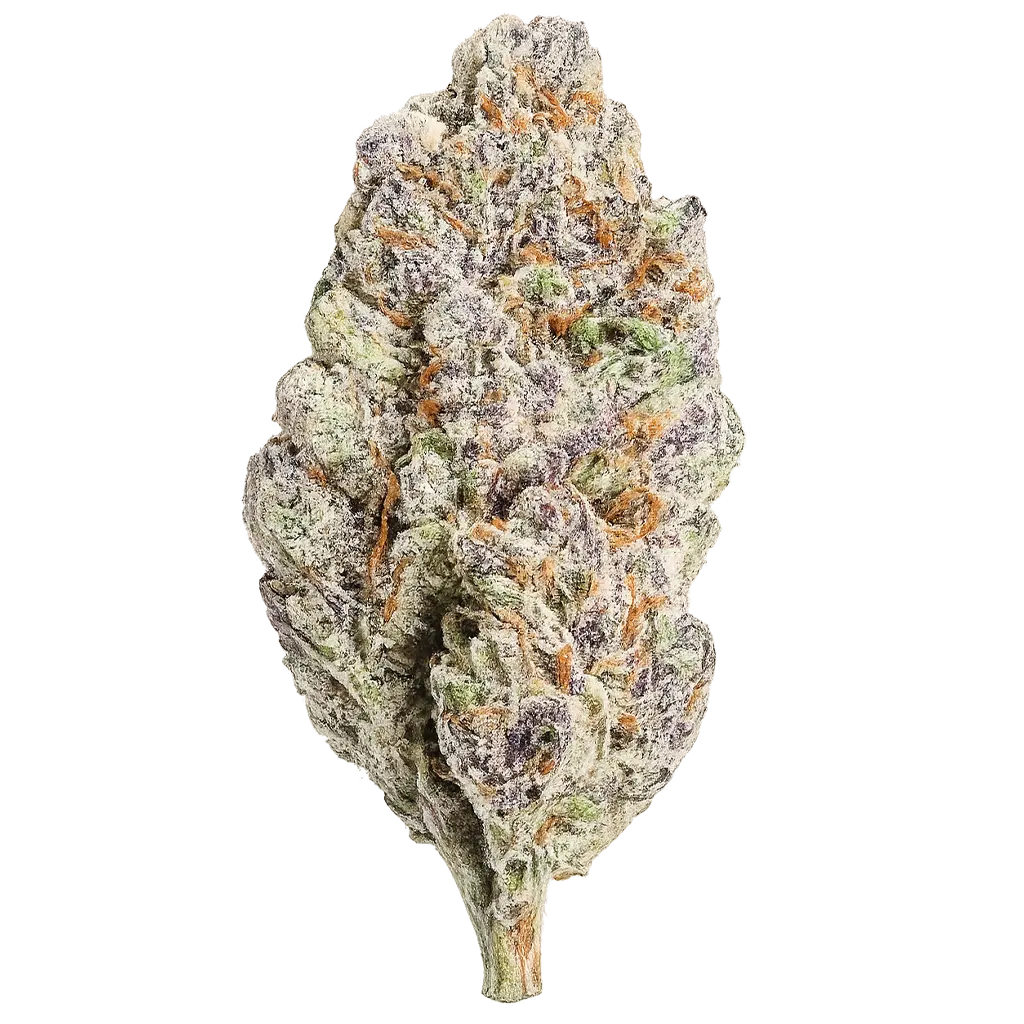 UPS strain with frosty purple-green buds, loud gas aroma, sweet candy notes, and dense trichome coverage.