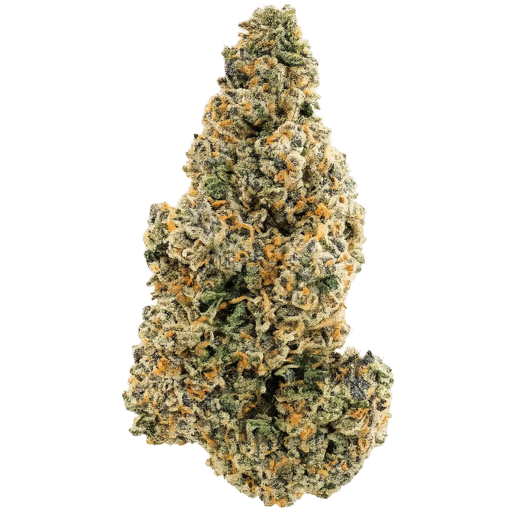 Explore the Warheads strain, a potent cannabis variety known for its sour candy flavor, citrus-forward aroma, strong THC content, and uplifting yet relaxing effects.