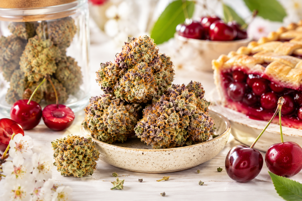 Cherry Pie strain review featuring premium cannabis buds, fresh cherries, and cherry pie, highlighting the strain's aroma, potency, flavor profile, and genetics.