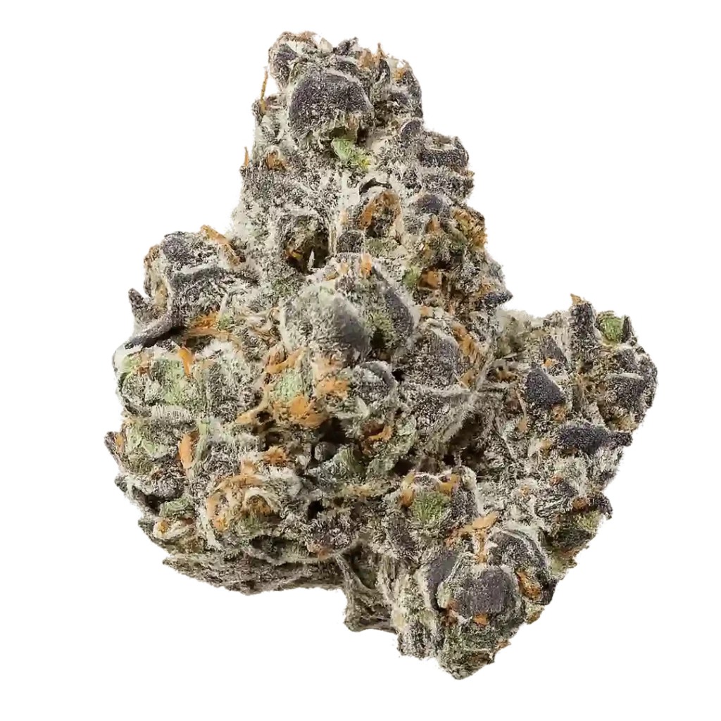 Apple Fritters Weed Strain