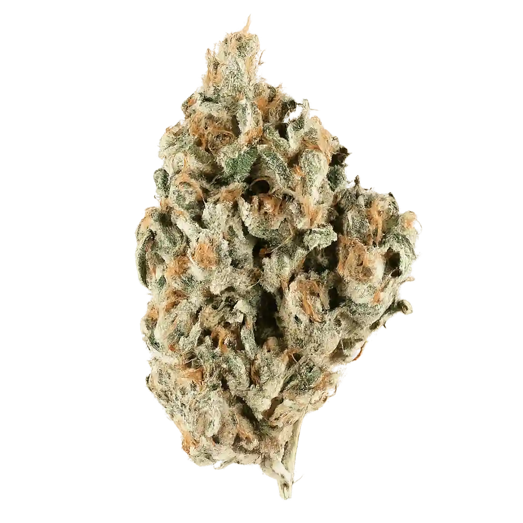 Frosted Donut Weed Strain
