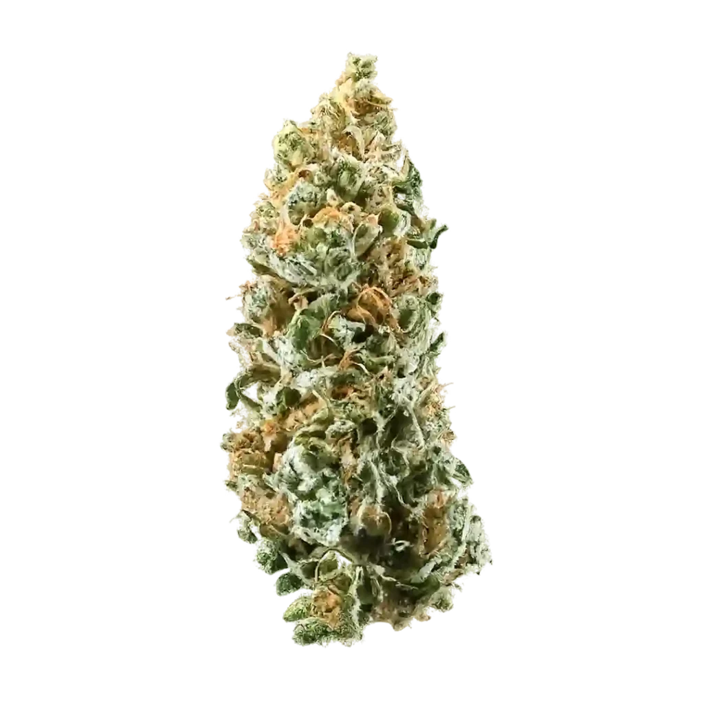 Guava Runtz Weed Strain