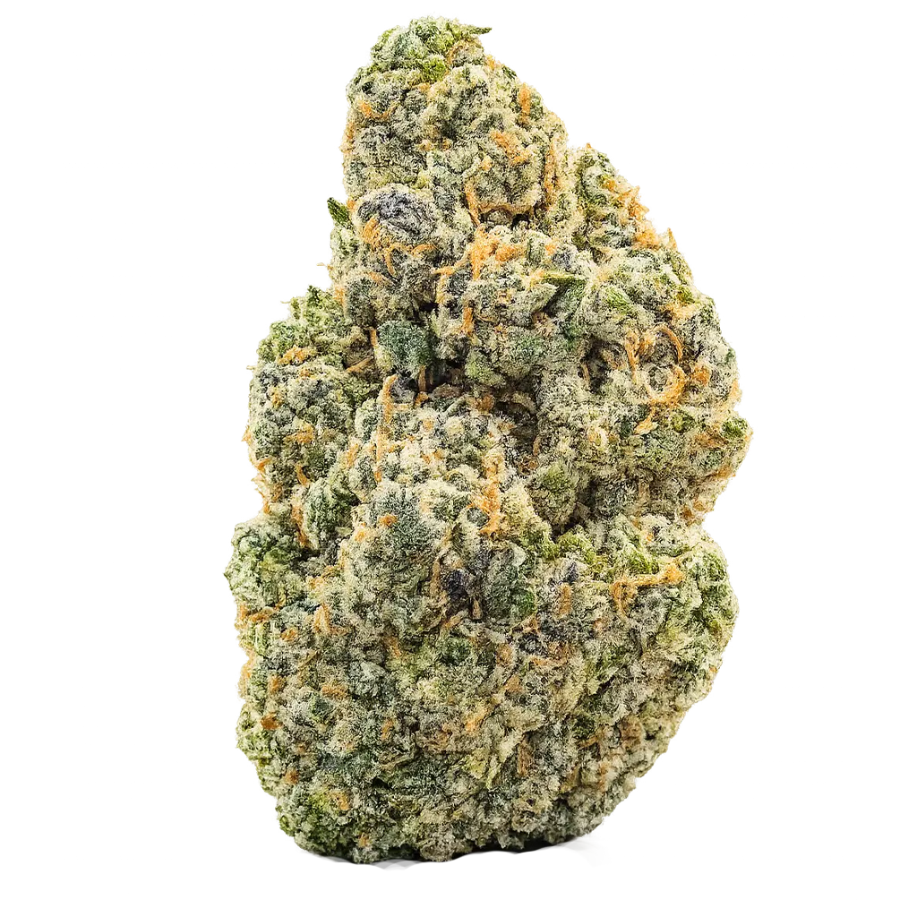Cherry Z strain, a flavorful cannabis cultivar known for its sweet cherry taste, fruity aroma, colorful buds, and balanced, enjoyable effects.