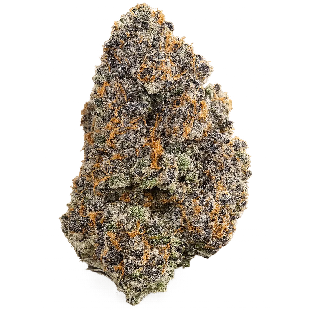 Nimbus strain, a premium cannabis cultivar known for its flavorful terpene profile