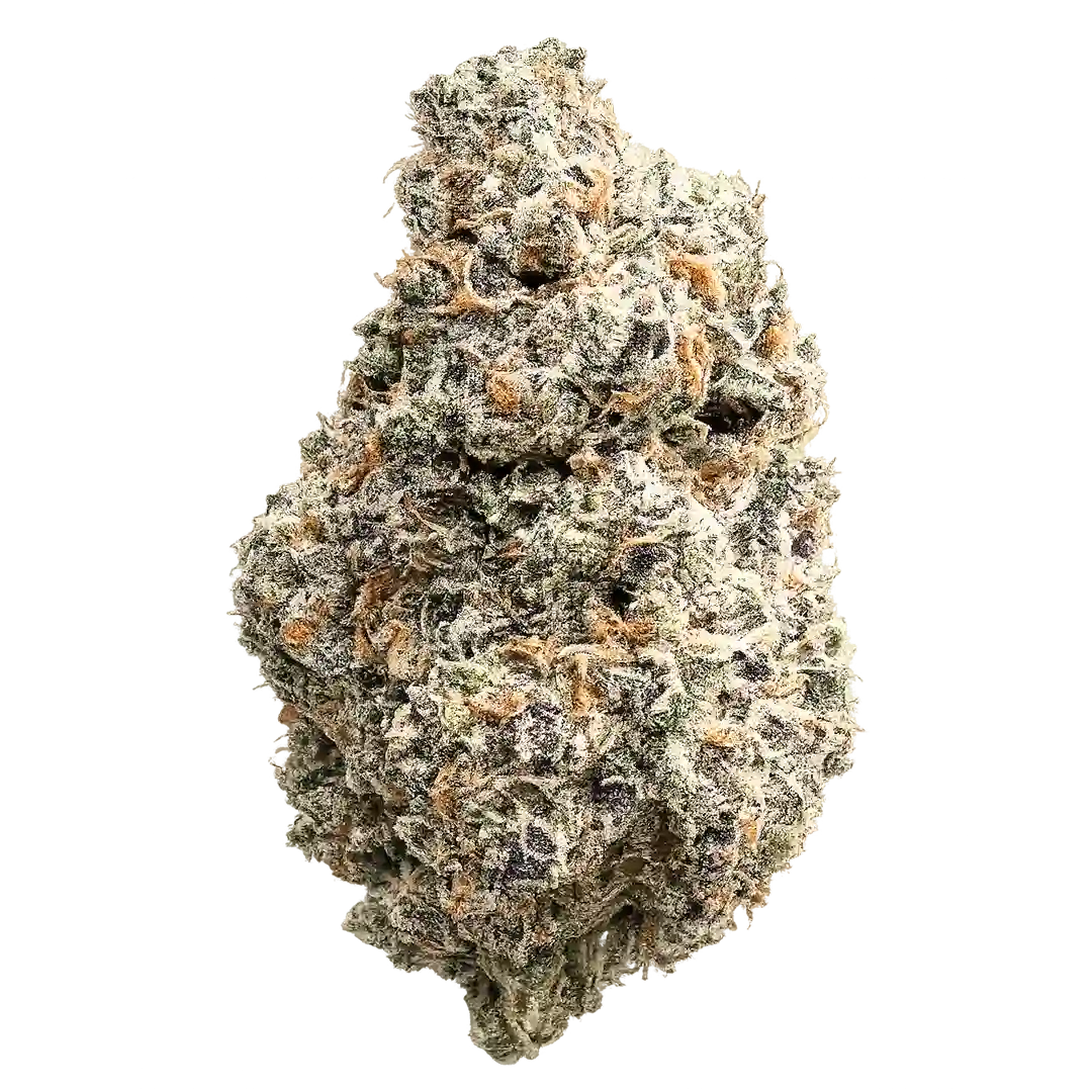 Nightwalker Weed Flower
