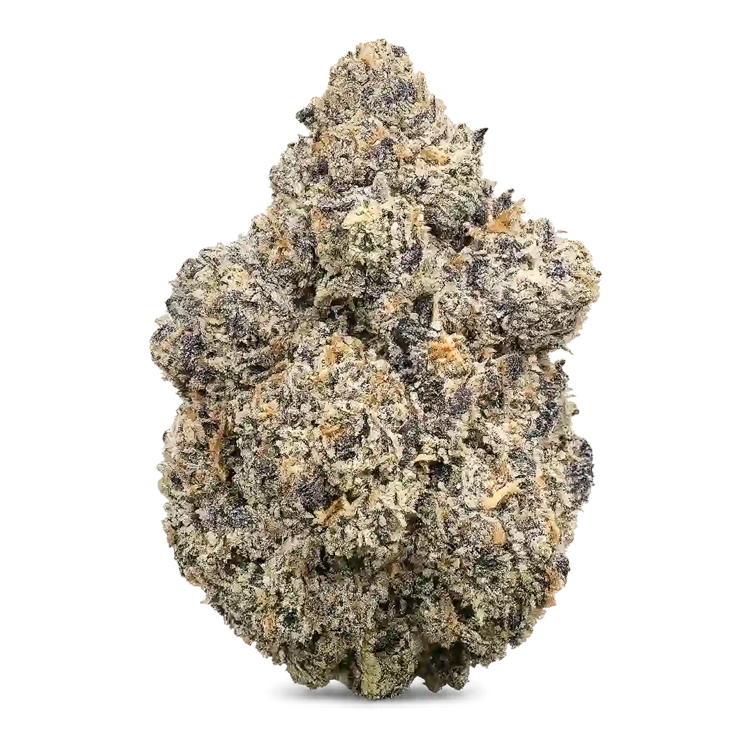 Purple Rain Weed Strain